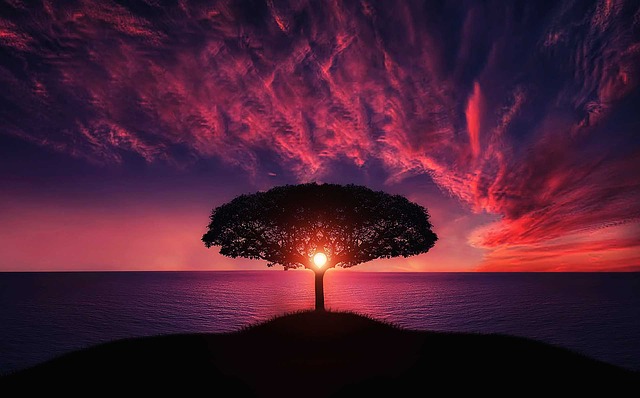 Hello World2025